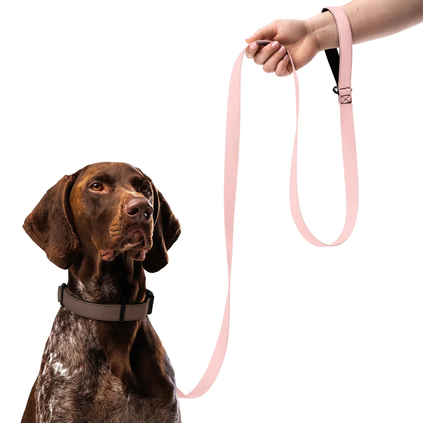 Hundeleine Rosa 1,8m – Stylische Leine für Hunde