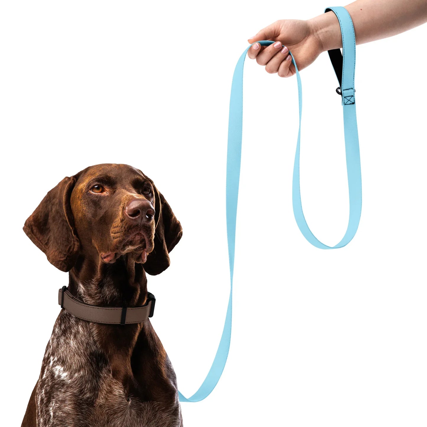 Hundeleine Hellblau 1,8m – Leichte Leine für Hunde