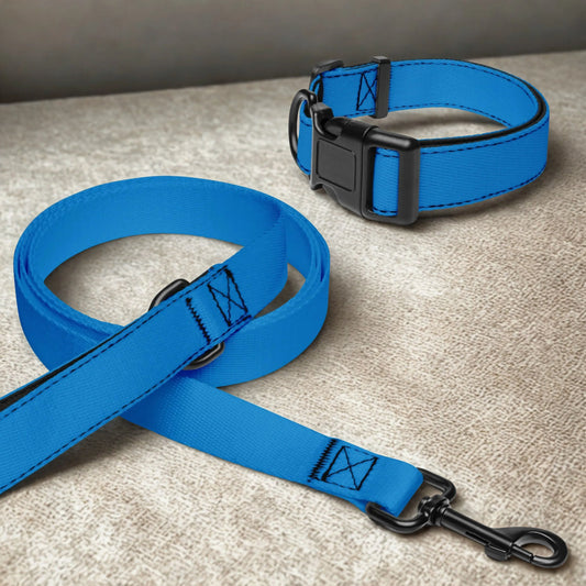 Blaues Hundehalsband und Leinen Set - Ellbee Tierbedarf