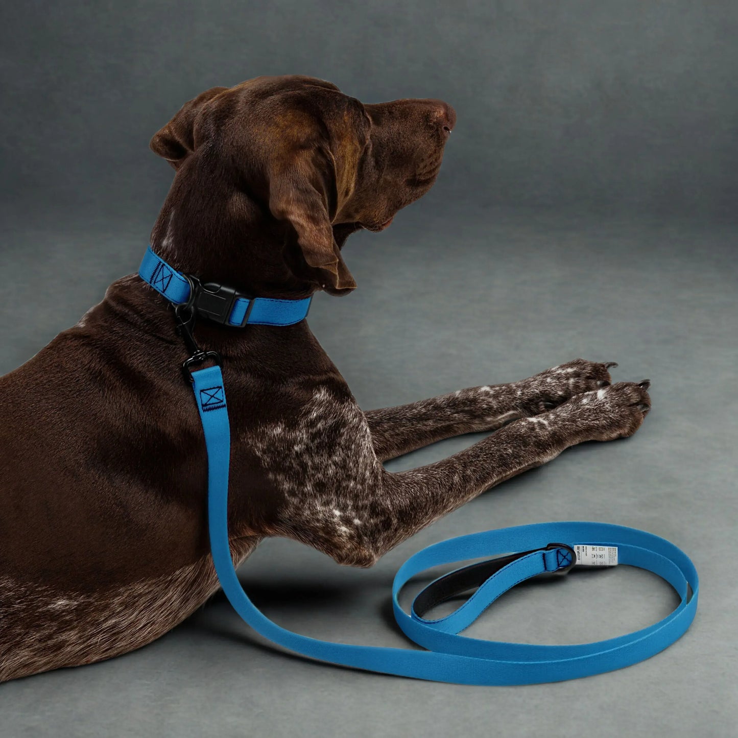 Blaues Hundehalsband und Leinen Set - Ellbee Tierbedarf