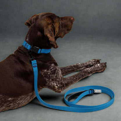 Blaues Hundehalsband und Leinen Set - Ellbee Tierbedarf