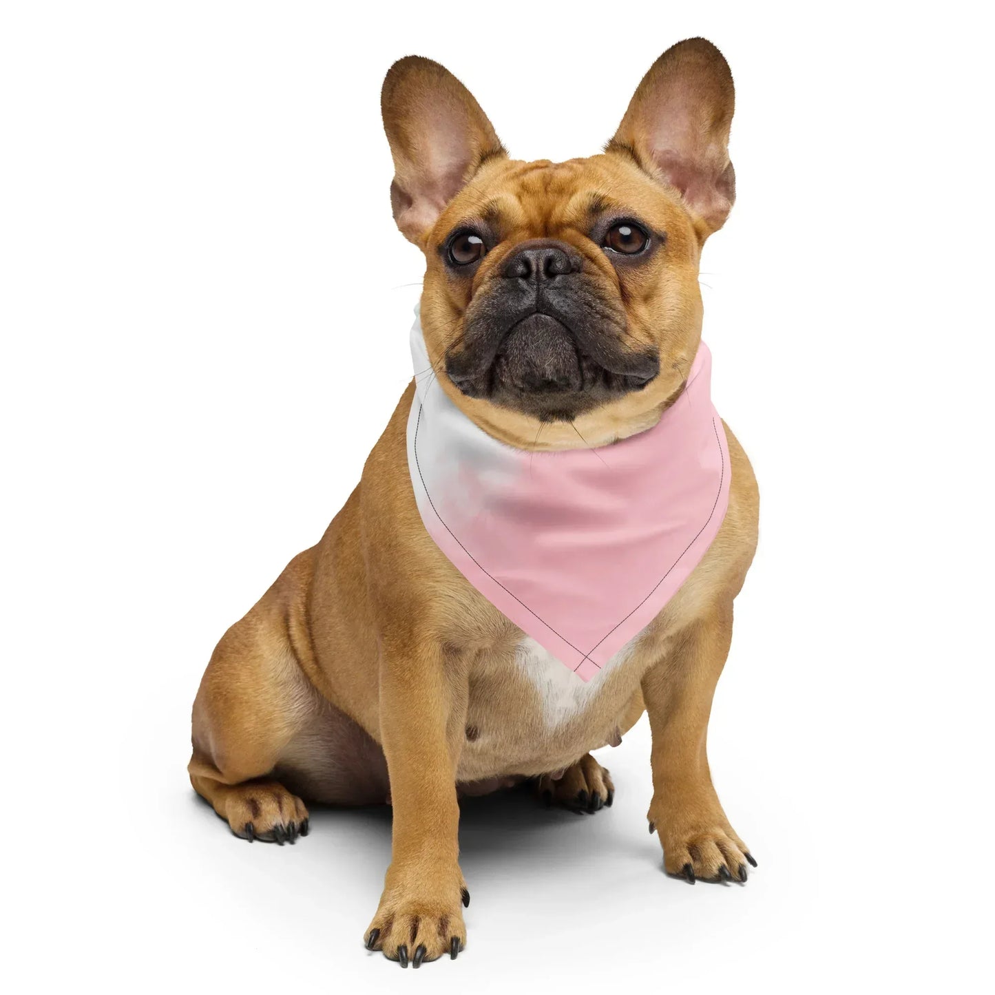 all-over-print-bandana-white-s-front-69bf802e353ff - Ellbee Tierbedarf