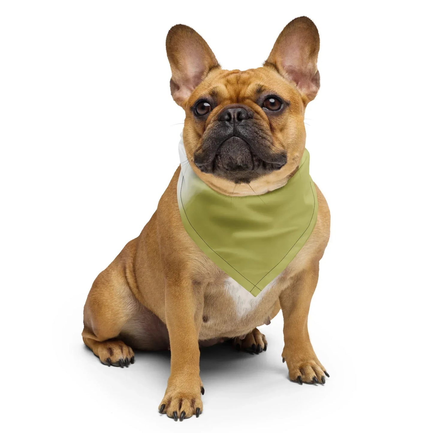 all-over-print-bandana-white-s-front-69bf80de9c138 - Ellbee Tierbedarf