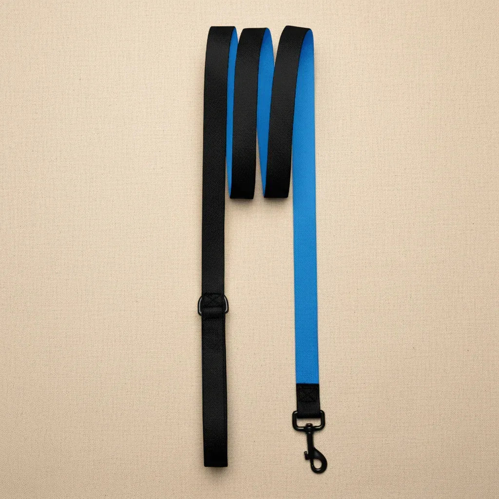 blaue-leine-beiger-hintergrund - Ellbee Tierbedarf