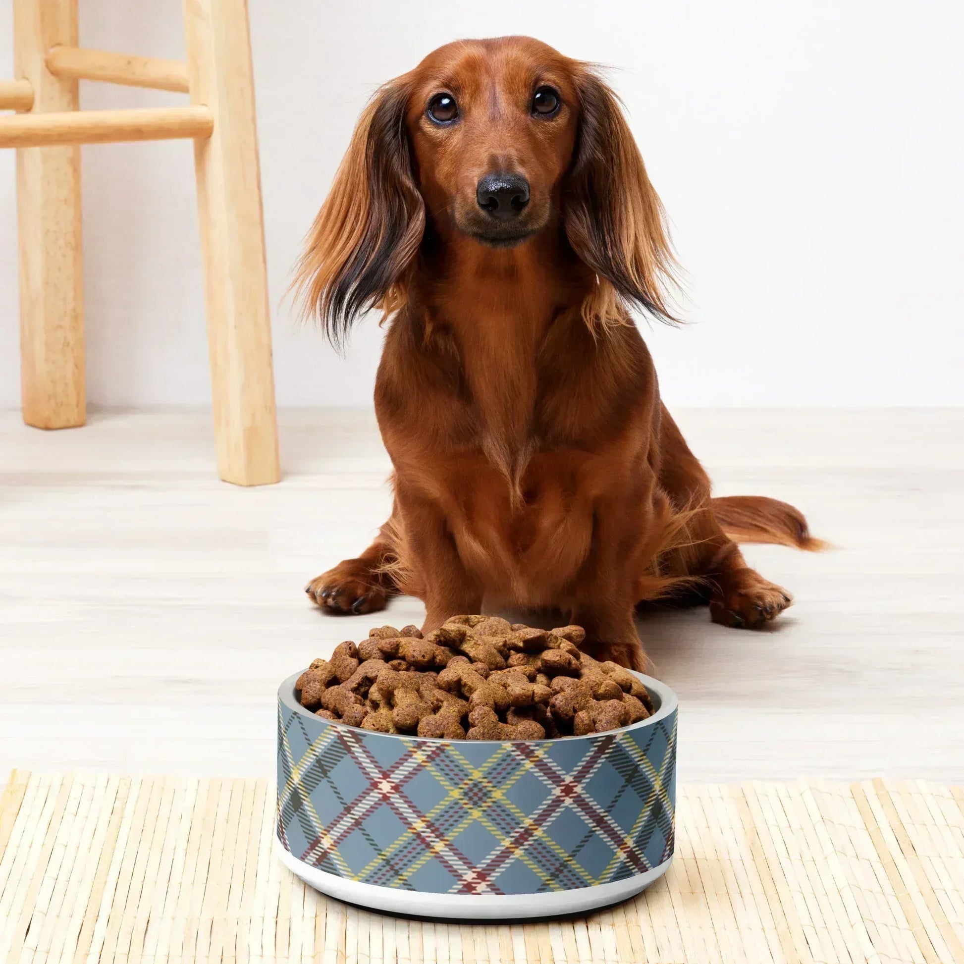 pet-bowl-white-32-oz-front-69a5cc9e0ac7f - Ellbee Tierbedarf