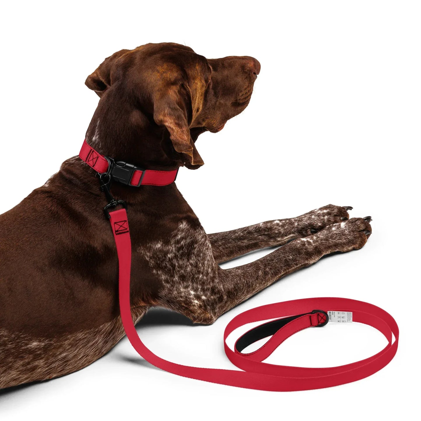 pet-collar--leash-white-l-front-6999cca9b5108 - Ellbee Tierbedarf
