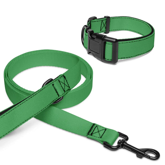 pet-collar--leash-white-m-front-6999c9f100820 - Ellbee Tierbedarf