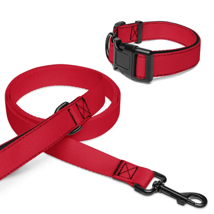 pet-collar--leash-white-m-front-6999cca9b49ee - Ellbee Tierbedarf