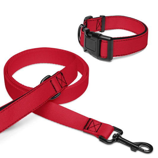 pet-collar--leash-white-m-front-6999cca9b49ee - Ellbee Tierbedarf
