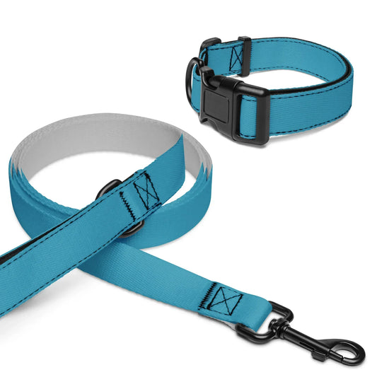 pet-collar--leash-white-m-front-6999ce484c9e3 - Ellbee Tierbedarf