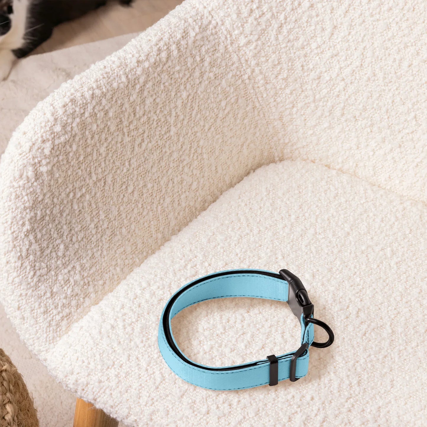 Hundehalsband Hellblau Verstellbar – Leichtes Halsband für Hunde