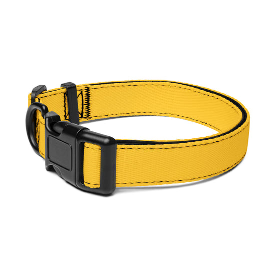 Gelbes verstellbares Hundehalsband
