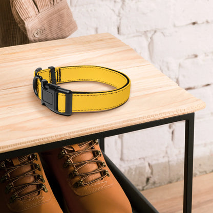 Hundehalsband Gelb Verstellbar – Auffälliges Halsband für Hunde