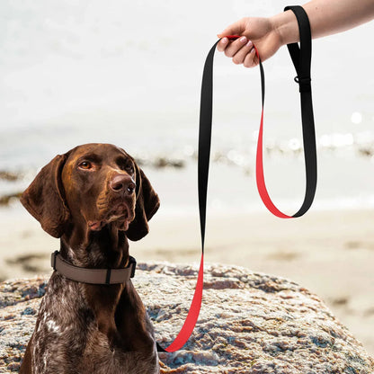 pet-leash-white-front-6990794b2ef0c - Ellbee Tierbedarf
