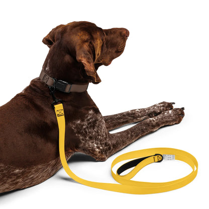 Hundeleine Gelb 1,8m – Auffällige Leine für Hunde