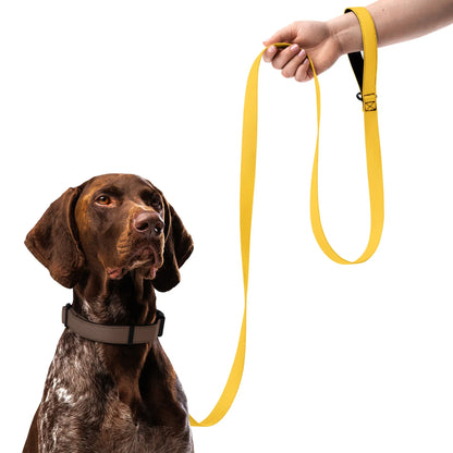 Hundeleine Gelb 1,8m – Auffällige Leine für Hunde