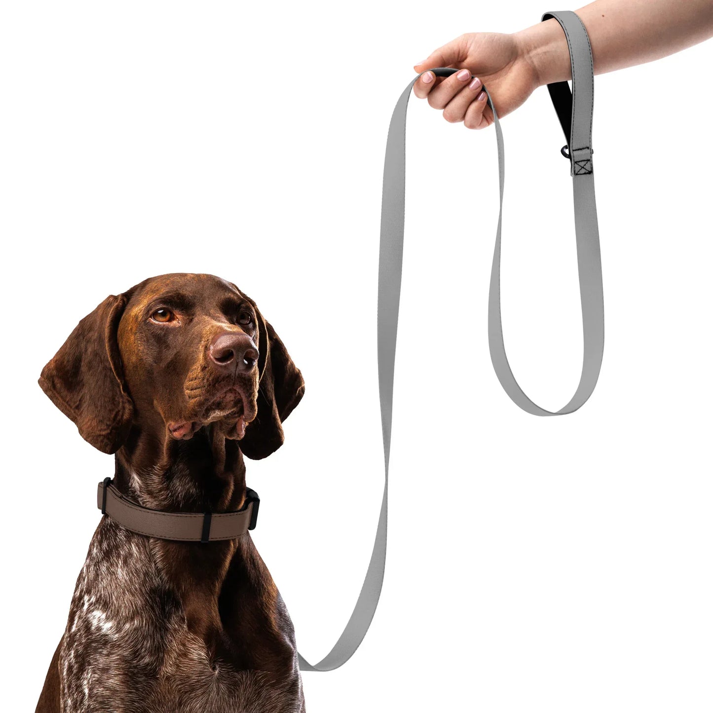 Hundeleine Grau 1,8m – Schlichte Leine für Hunde