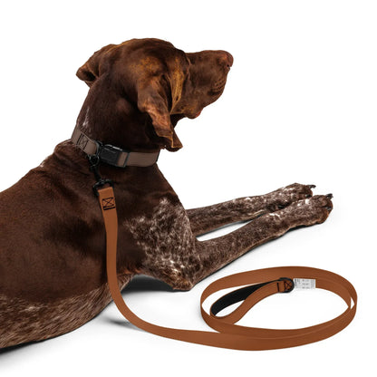 Hundeleine Braun 1,8m – Robuste Leine für Hunde