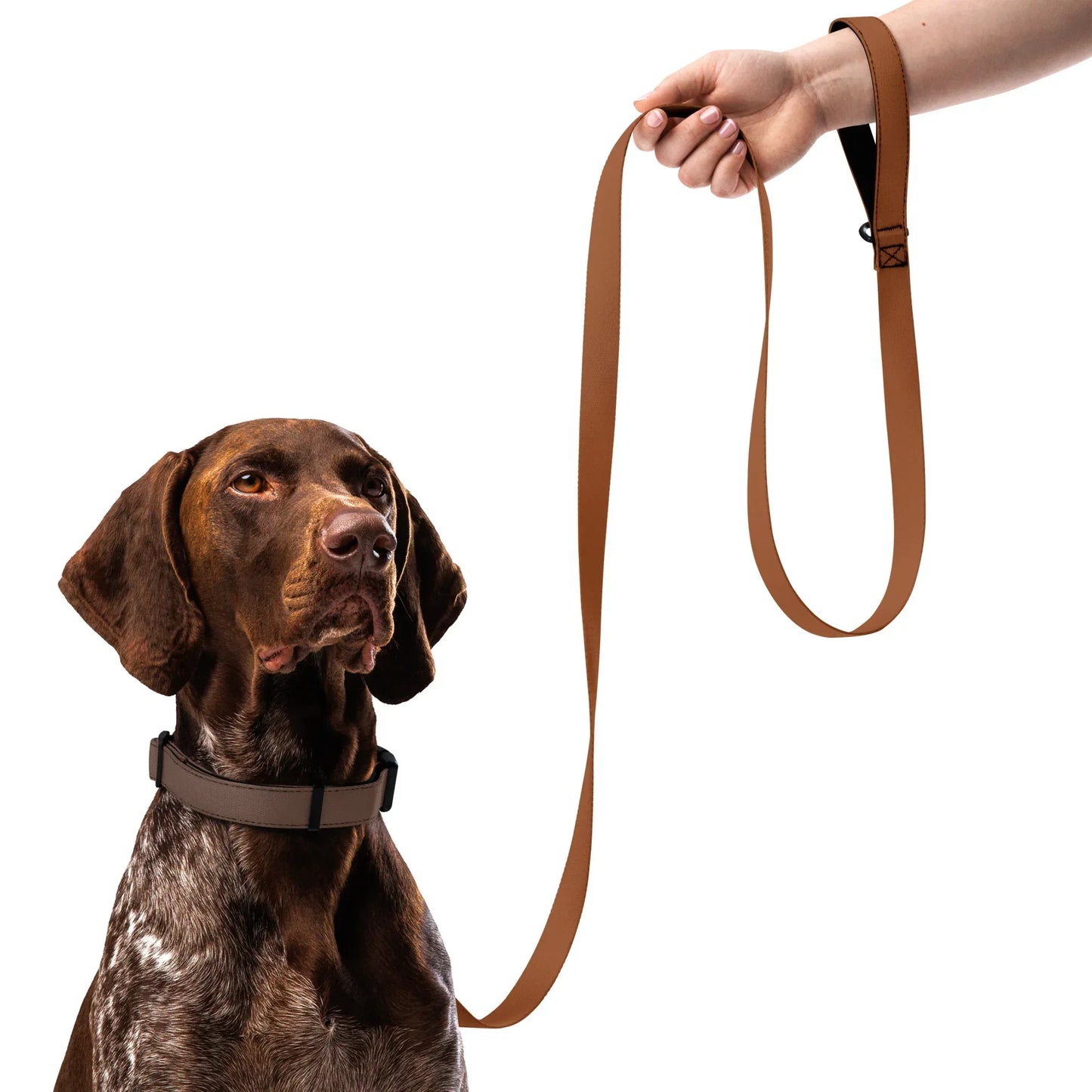 Hundeleine Braun 1,8m – Robuste Leine für Hunde