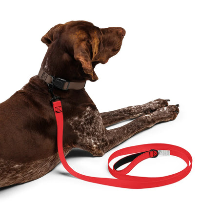 Hundeleine Rot 1,8m – Auffällige Leine für Hunde
