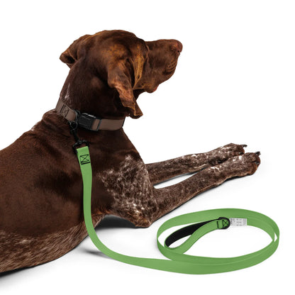 Hundeleine Grün 1,8m – Naturnahe Leine für Hunde
