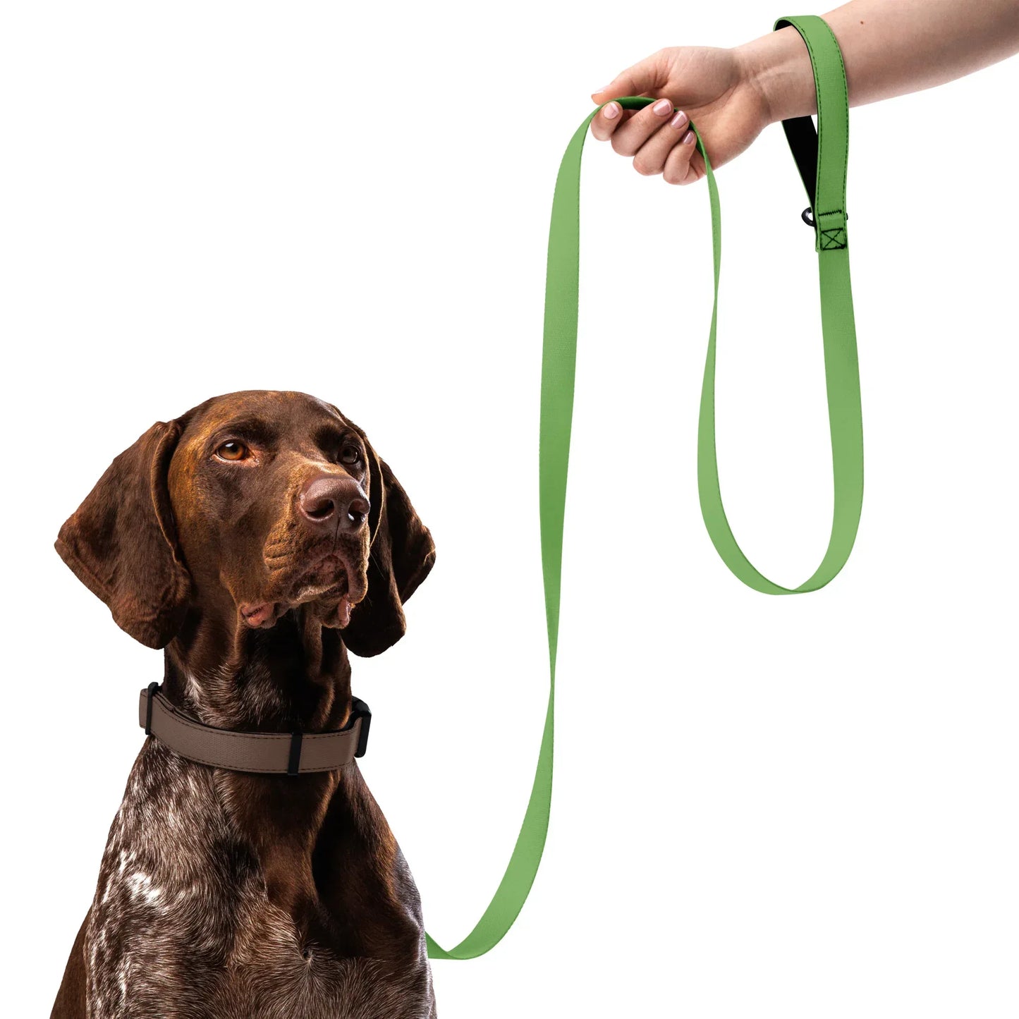 Hundeleine Grün 1,8m – Naturnahe Leine für Hunde