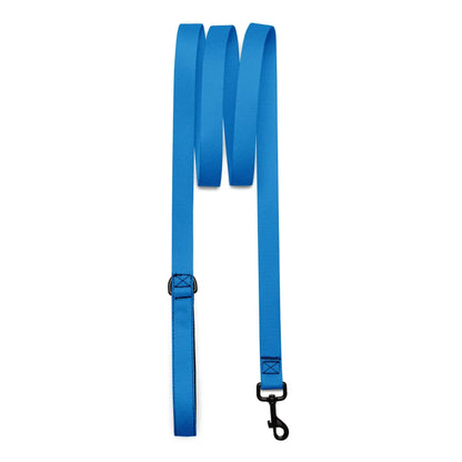Hundeleine Blau 1,8m – Stylische Leine für Hunde