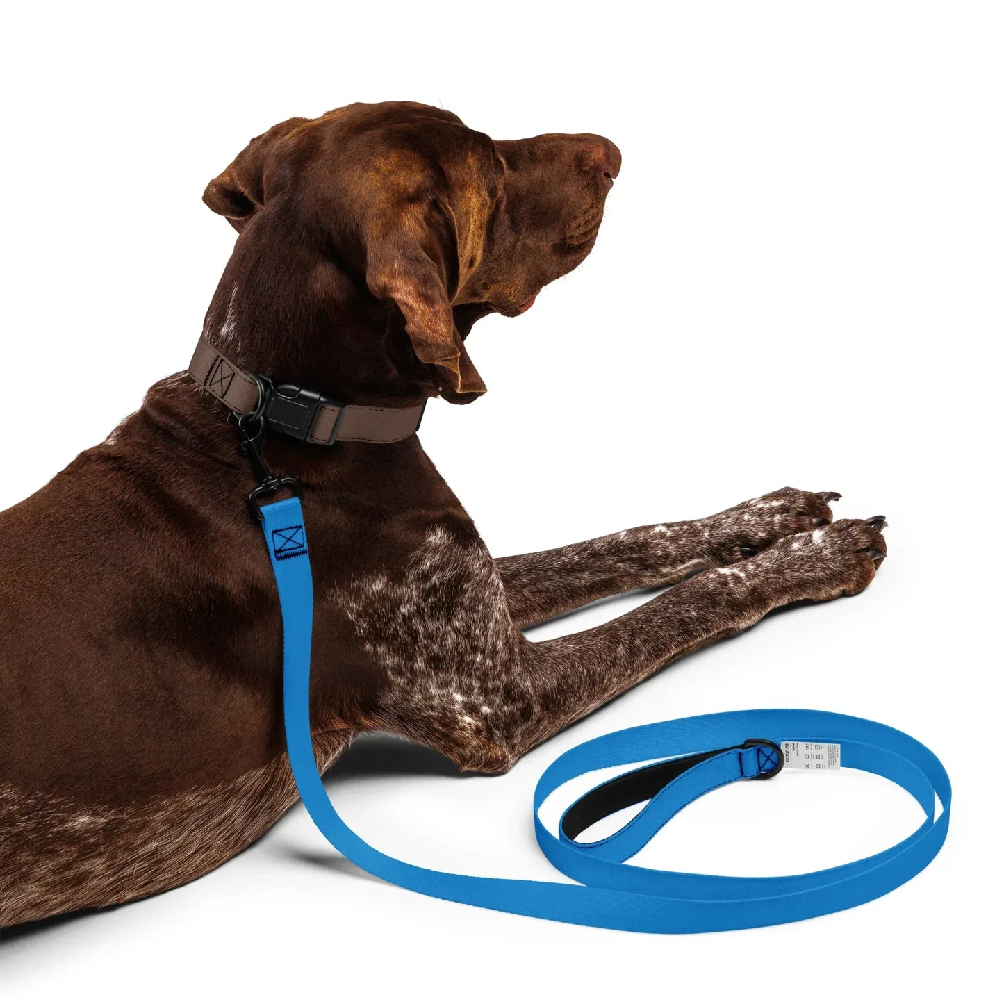 Hundeleine Blau 1,8m – Stylische Leine für Hunde