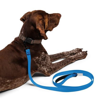 Hundeleine Blau 1,8m – Stylische Leine für Hunde