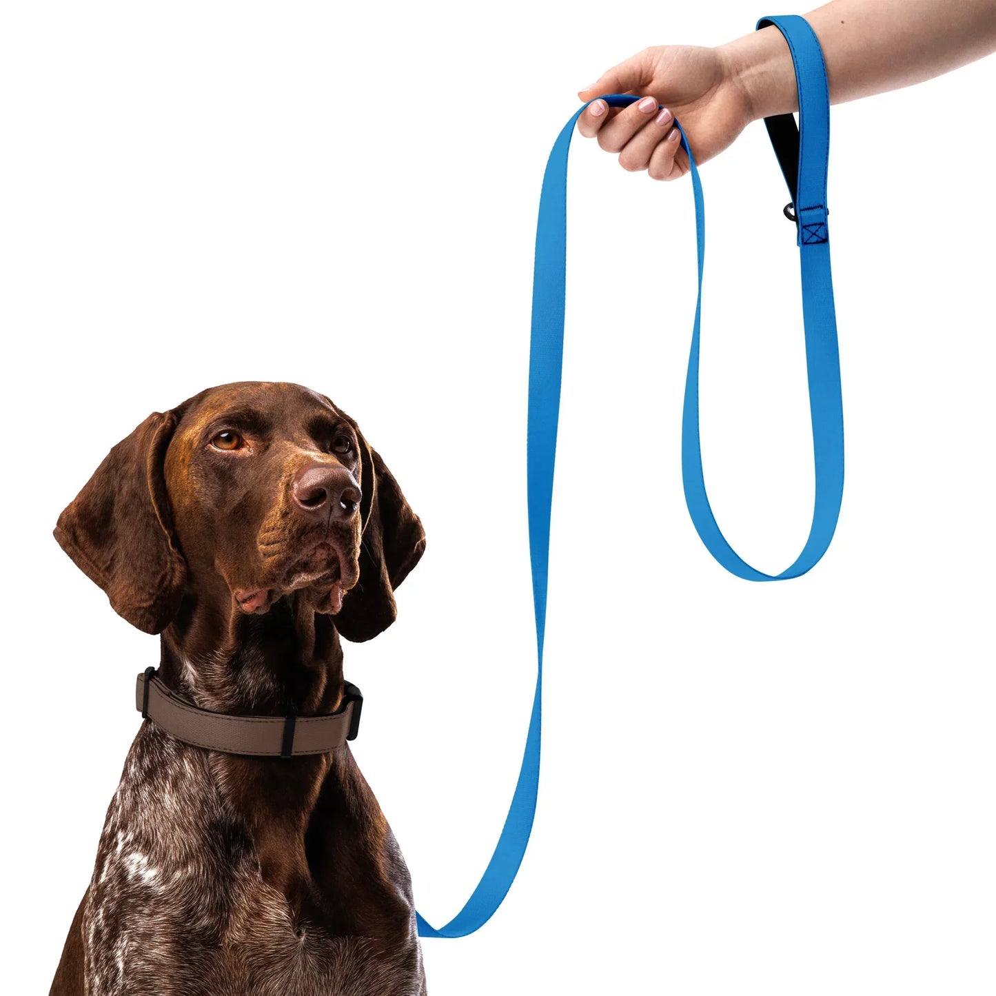 Hundeleine Blau 1,8m – Stylische Leine für Hunde