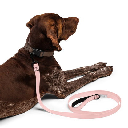 Hundeleine Rosa 1,8m – Stylische Leine für Hunde