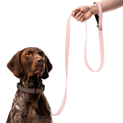 Hundeleine Rosa 1,8m – Stylische Leine für Hunde