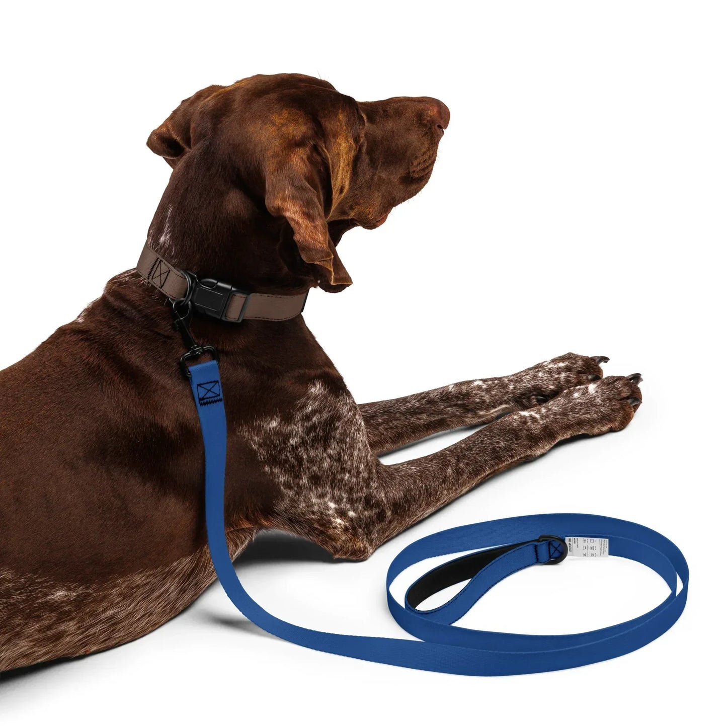 Hundeleine Dunkelblau 1,8m – Stylische Leine für Hunde