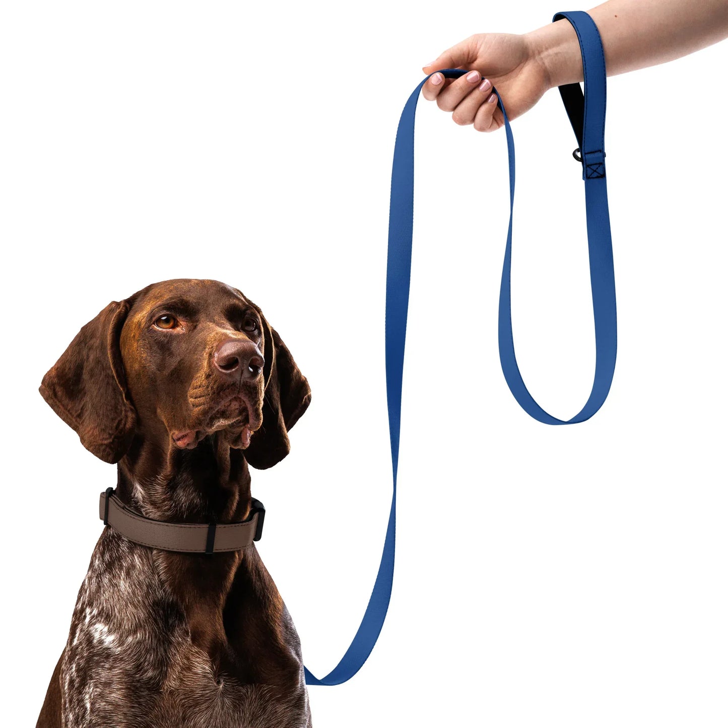 Hundeleine Dunkelblau 1,8m – Stylische Leine für Hunde