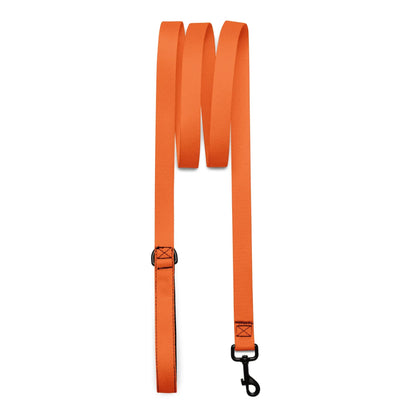 Hundeleine Orange 1,8m – Auffällige Leine für Hunde