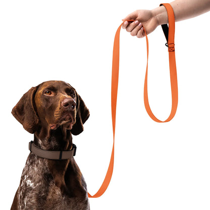 Hundeleine Orange 1,8m – Auffällige Leine für Hunde